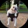 stan_450