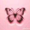 sweetyy003