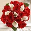 ibrahimsoraya29