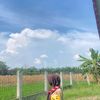 intanncallysta