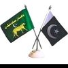 malik.saqlain2980