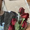 userrosemary85