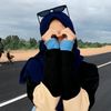 iccvg2