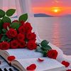 taslima.arfa.79