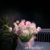 layal8596