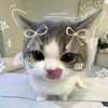 nisaishere1