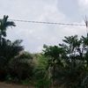 newakun24e
