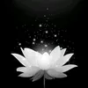 l.khnhvy