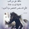 user2865902926174
