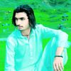 wajid.ali7675