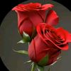 rayan.ahmad405