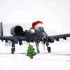 memphis_aviator4