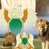 user9495811781037