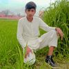 tayyabali4628