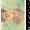 thuya.767878
