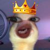 vikshoppp
