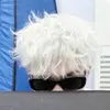 biiflowrhycap