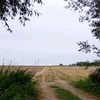 bobrowigo2l