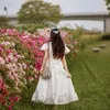 iawyk2