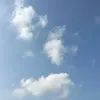 ten.tenf29