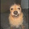 toto.is.delulu