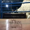 esther.alejandra26