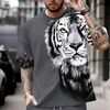 moh.abdou31