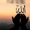 bahuz29