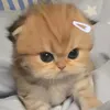 5zhoo_7