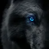 the_fierce_wolf