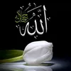 user9999053243300
