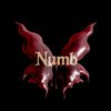 numb.32