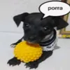 6angolano_safado9