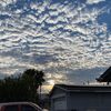 no_user_found397