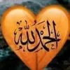 user73559763137962