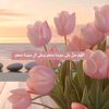 user8219366188384