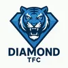 diamond_tfc