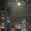 mariam.nagy916