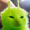 user123456789634___c