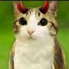 meowl896