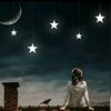 user680786816083