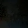 traur_077