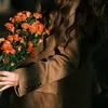 dle.rash20