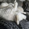 tailsofmagicandmystery