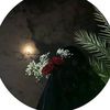 user8271199822479