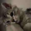 elyse_is_super_aw