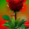 mahilove505
