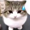 particle0fgod
