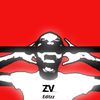 zeroxvixon