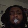 gme.grizz2